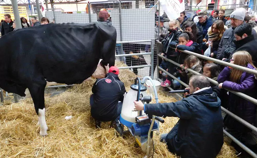  - Illustration Ferme en Ville, une échappée campagnarde à Saint-Brieuc