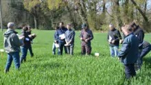 Denis Le Bossé et Philippe Lannuzel, conseillers à la Chambre d’agriculture, présentaient les essais réalisés chez David Hellegouarch.