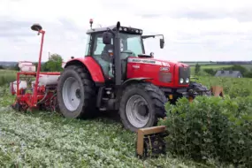 Implantation (roulage – semoir) d'un mélange de maïs et plantes associées dans une féverole.