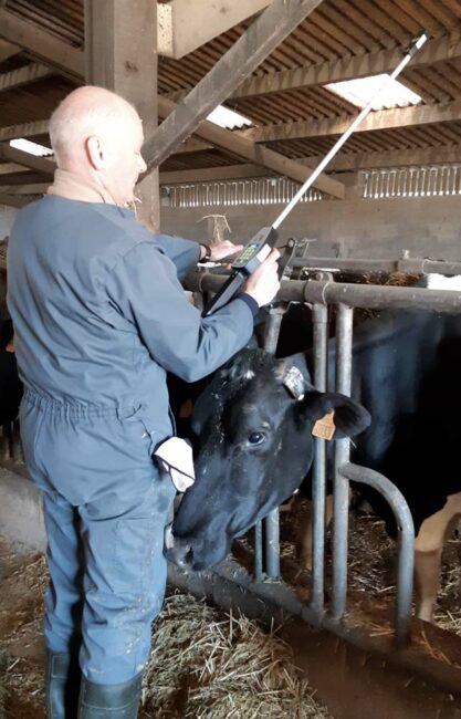 Yvan Girard, technicien Isère Conseil Élevage, mesurant une Nec avec la canne Bodymat.