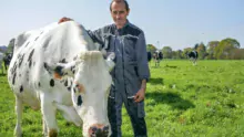 Philippe Pinel, responsable de la ferme, dans le troupeau. À l'étable, les vaches sont en logettes avec matelas et farine de paille.