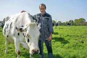 Philippe Pinel, responsable de la ferme, dans le troupeau. À l'étable, les vaches sont en logettes avec matelas et farine de paille.