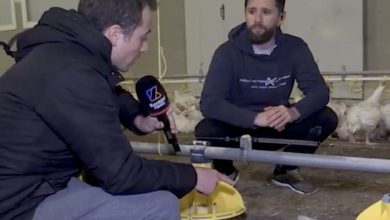 Photo of Elevage : le syndicalisme majoritaire dénonce une accélération des intrusions