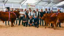 Les éleveurs posant avec Maestro, animal sacré champion de ce concours.