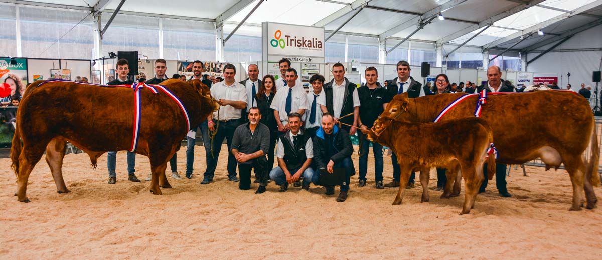 Les éleveurs posant avec Maestro, animal sacré champion de ce concours. - Illustration Limousines et Blondes d’Aquitaine à Agrideiz : Nemo et Maestro récitent leur partition