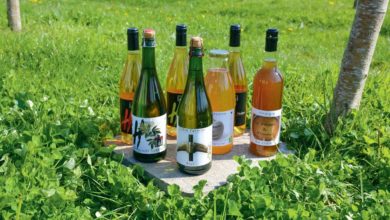 Photo of Des vins de pomme ou de sureau à savourer