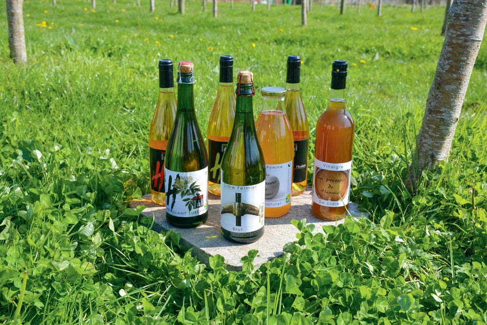  - Illustration Des vins de pomme ou de sureau à savourer