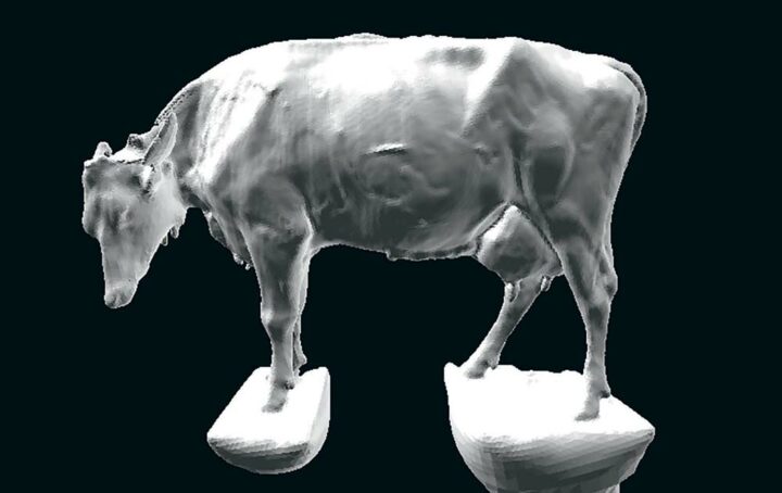 Les données en 3D sur le volume d’un animal permettent de connaître son poids.
