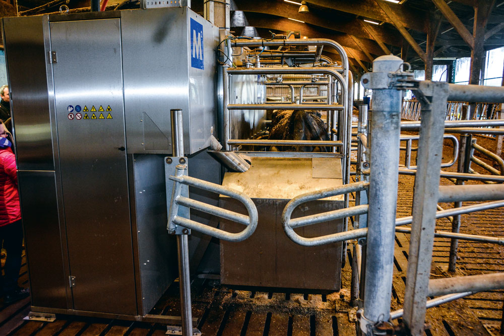 La porte de sortie frontale offre une seconde possibilité aux vaches pour accéder aux pâtures ou pour un retour au bâtiment, selon le choix de l’éleveur. - Illustration Plusieurs entrées et sorties pour le robot