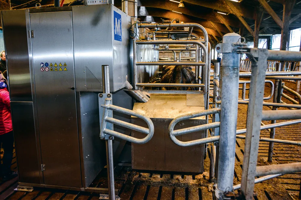 La porte de sortie frontale offre une seconde possibilité aux vaches pour accéder aux pâtures ou pour un retour au bâtiment, selon le choix de l’éleveur. - Illustration Plusieurs entrées et sorties pour le robot