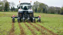 Démonstration de passage du strip-till Sly dans une parcelle de ray-grass, jeudi 16 avril à Trans-la-Forêt (35).