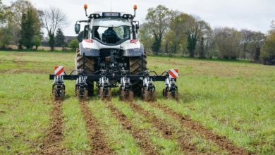 Photo of Strip-till : Une graine de maïs dans un sol bien aéré