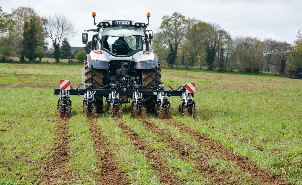 Démonstration de passage du strip-till Sly dans une parcelle de ray-grass, jeudi 16 avril à Trans-la-Forêt (35). - Illustration Strip-till : Une graine de maïs dans un sol bien aéré