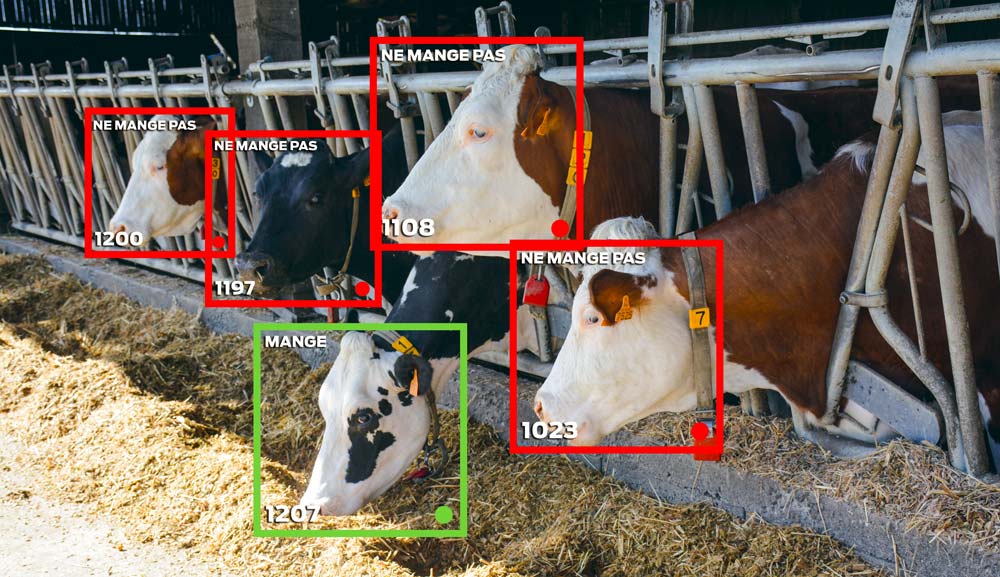  - Illustration Outils connectés : Migrer vers du « low-cost »