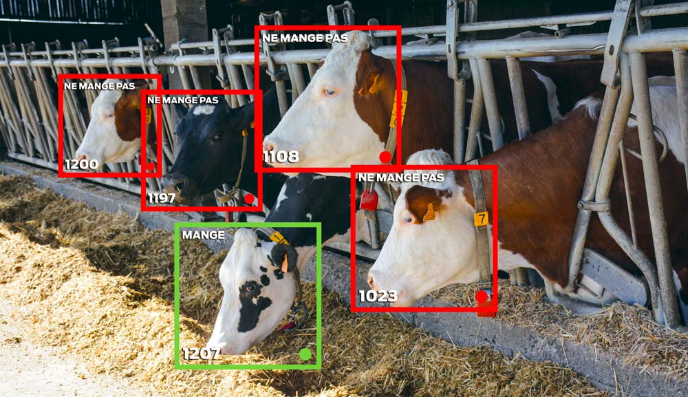  - Illustration Outils connectés : Migrer vers du “low-cost”