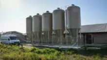 Cinq silos placés sur un poulailler distribuent l’aliment pour les 4 200 m2.