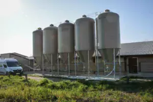Cinq silos placés sur un poulailler distribuent l’aliment pour les 4 200 m2.