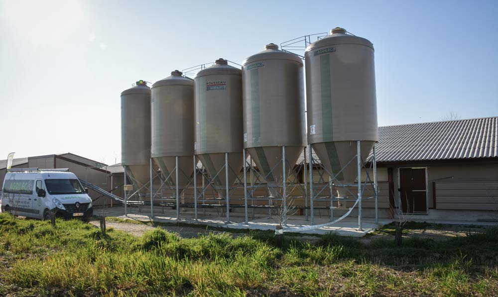 Cinq silos placés sur un poulailler distribuent l’aliment pour les 4 200 m2. - Illustration Aviculture : Un automate gère les transitions alimentaires