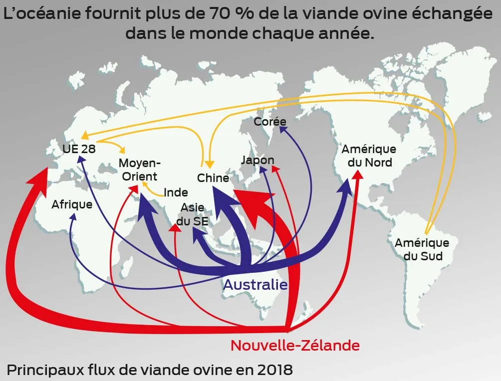  - Illustration Ovin : Faut-il craindre les exportations d’Océanie ?