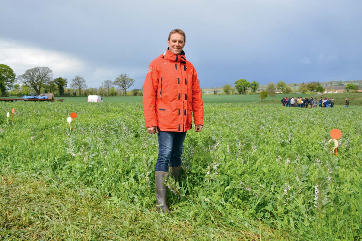  - Illustration La prairie se plaît sous le méteil hivernal