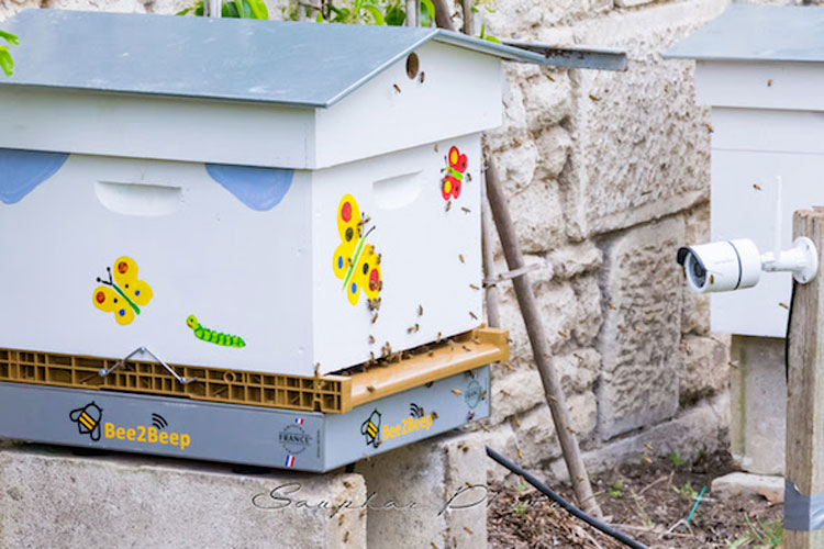  - Illustration Bee2beep, la première balance connectée au service des apiculteurs