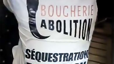 Photo of Un texte de loi visant les actions animalistes pourrait être examiné à la rentrée