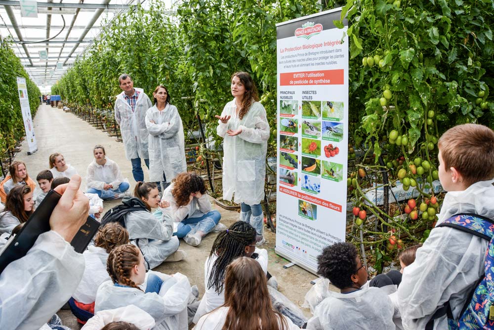  - Illustration À l’école des tomates