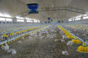 Les aérothermes permettent de chauffer le poulailler grâce à de l’eau chaude produite par une chaudière gaz. Ce mode de chauffage ne dégage pas d’humidité, ni de CO2 dans le bâtiment.