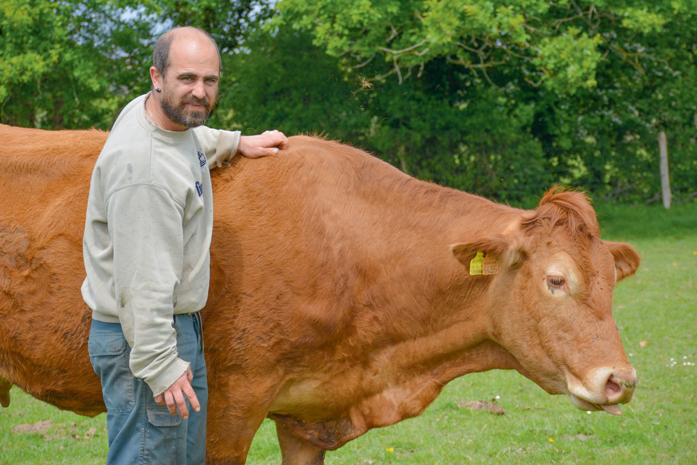  - Illustration La filière viande ouvre ses portes