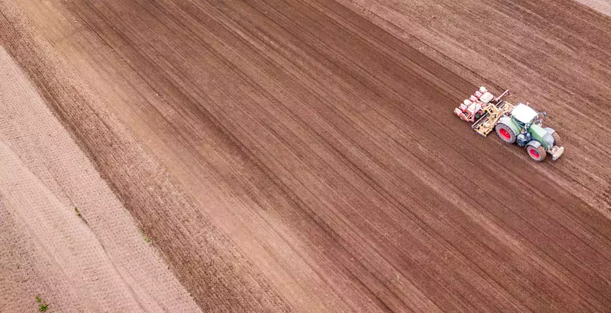 - Illustration Des surfaces en hausse pour le maïs, le tournesol et records en soja