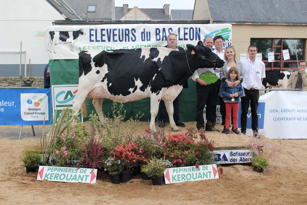  - Illustration Iwally remporte le concours sur ses terres