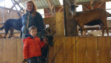Photo of Un premier concours en chèvre alpine