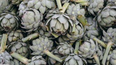 Photo of Artichaut : Télescopage dans les livraisons de légumes