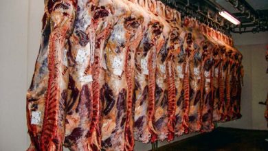Photo of La Chine perd un de ses principaux fournisseurs de viande