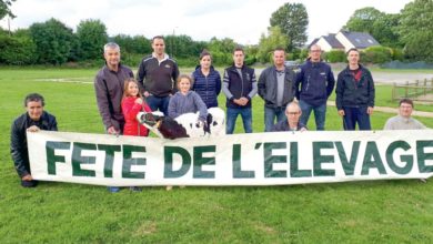 Photo of Fête de l’élevage : 120 bovins en concours