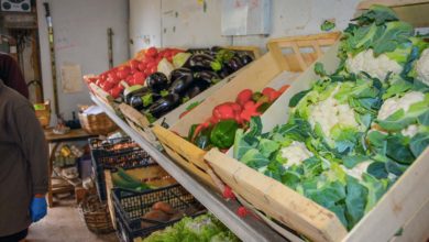 Photo of Journée filières et techniques légumes bio