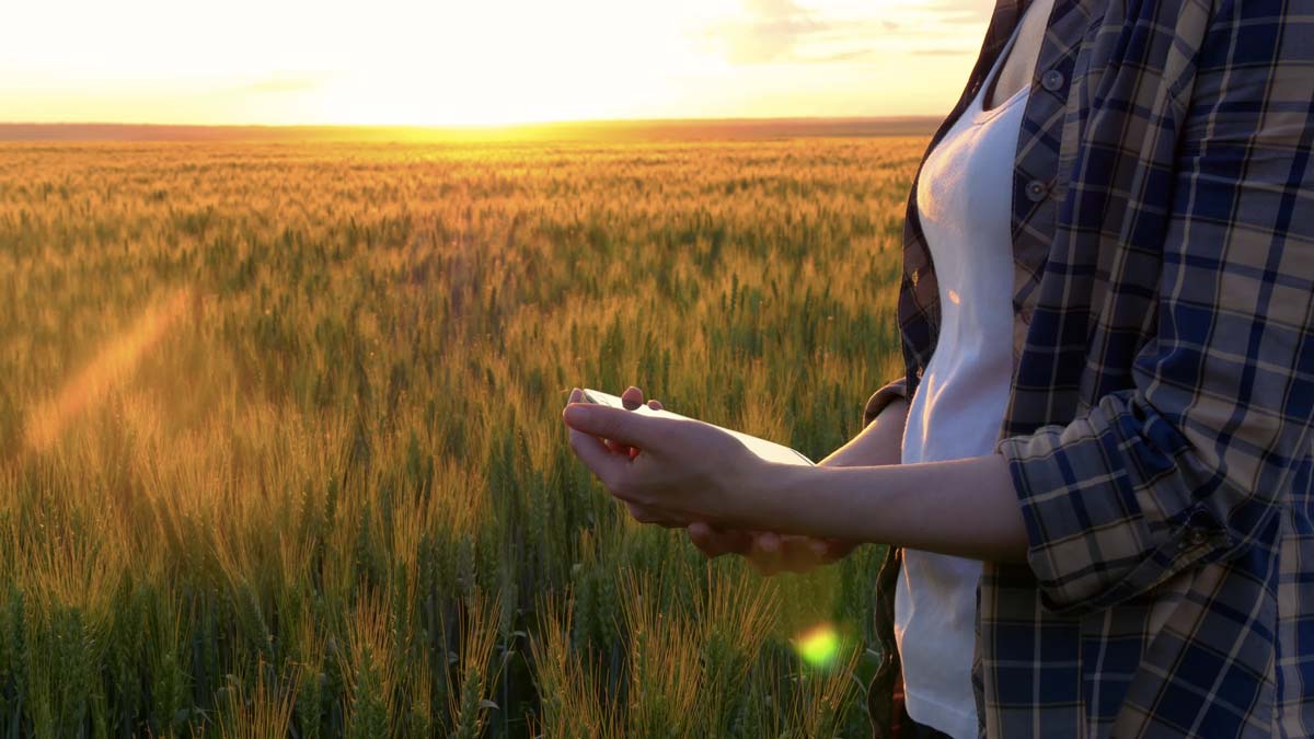 - Illustration Agriculteurs et « geeks »