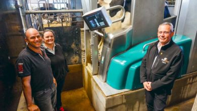 Photo of La traite robotisée : une satisfaction familiale