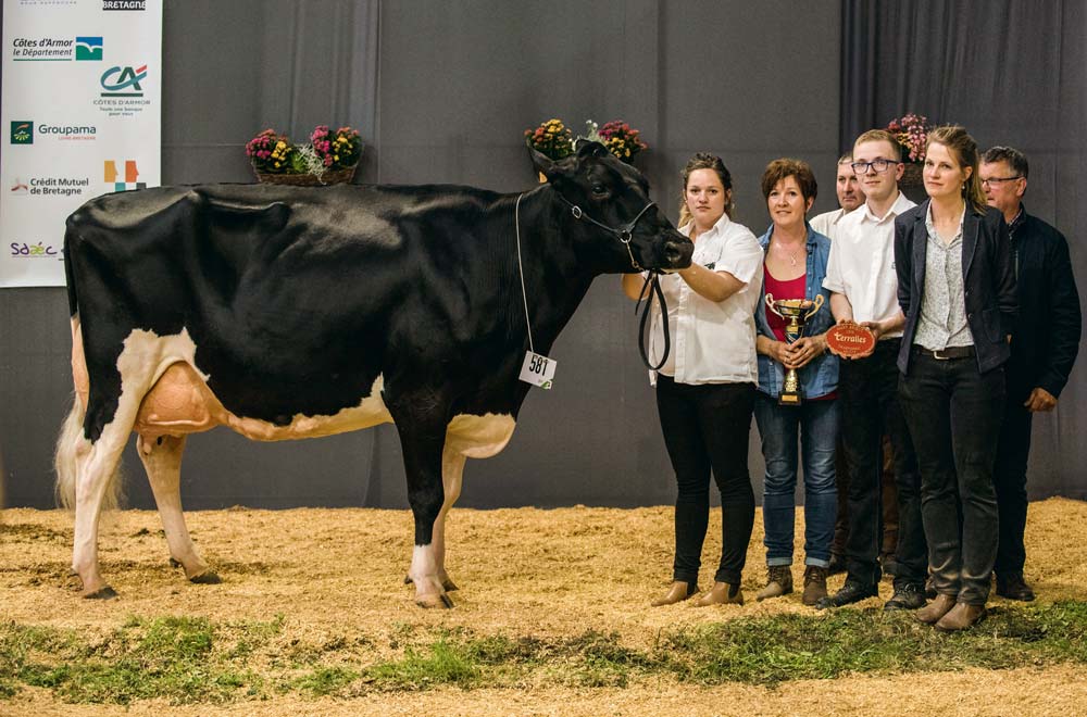  - Illustration Prim’Holstein / Terralies 2019 : Stel Epina poursuit sa quête