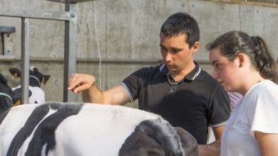 Photo of Les futurs champions de la tonte à Ploërmel