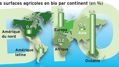 Photo of Le marché mondial du bio est surtout occidental