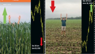 Photo of Moisson 2019 : trop chaud ou trop humide ?