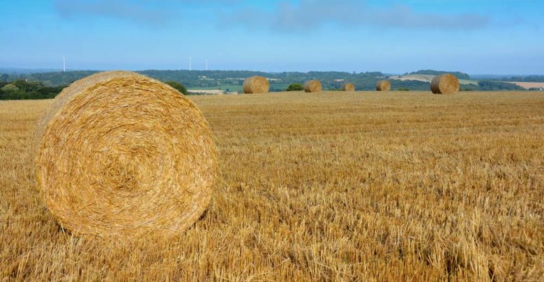 Prix De La Paille à La Tonne 2021