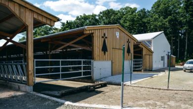 Photo of Lait : Un bâtiment semi-ouvert économique