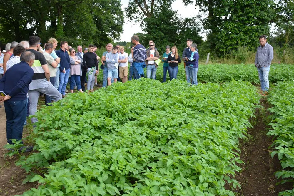  - Illustration Légumes et céréales bio cohabitent sur 148 hectares à Elven