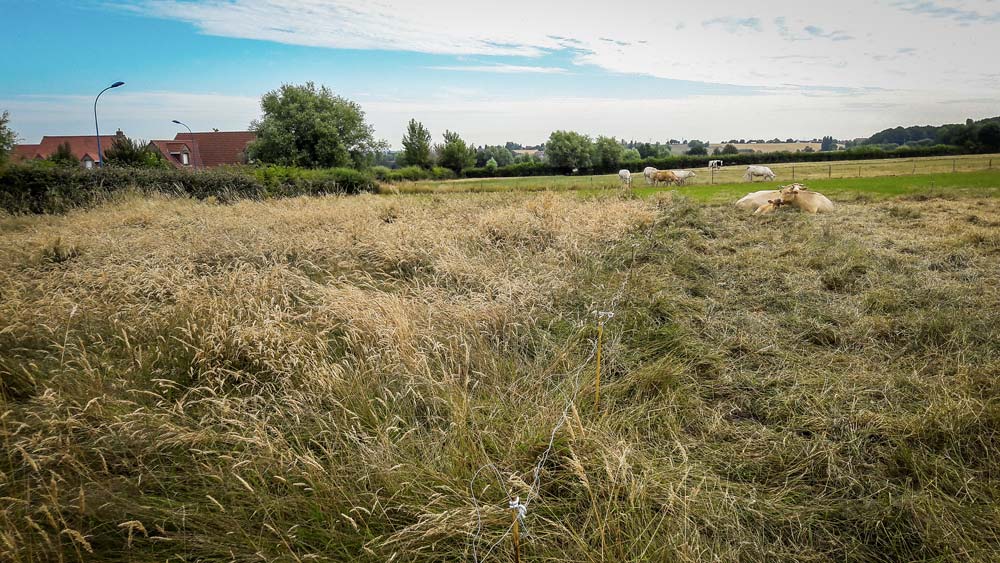  - Illustration La pratique du report de stocks fourragers sur pied dans l’exploitation des prairies