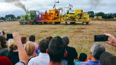 Photo of Agrifête : La foule pour une 25e édition réussie