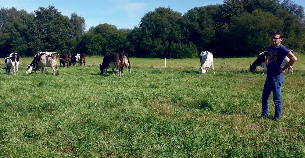  - Illustration Malgré un été sec, toujours autant d’herbe pâturée au menu