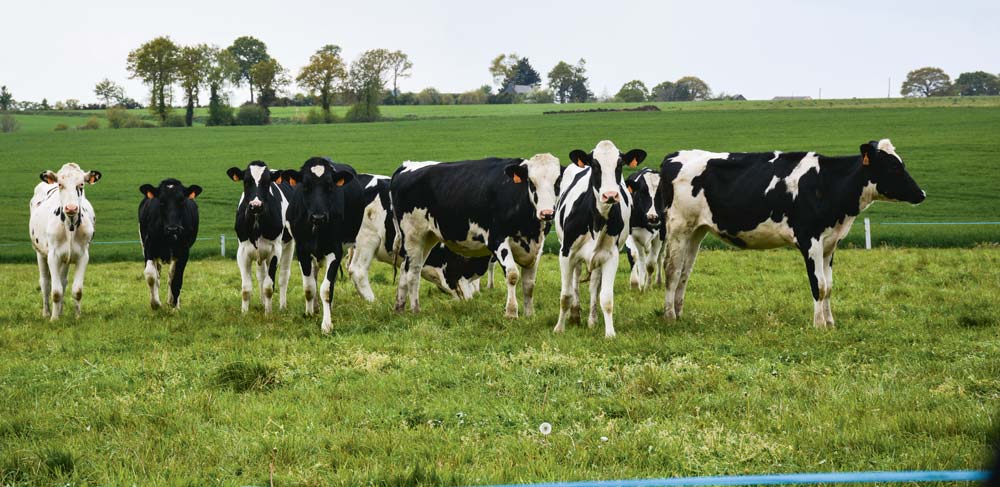  - Illustration Politique agricole commune : Pour une gestion régionalisée