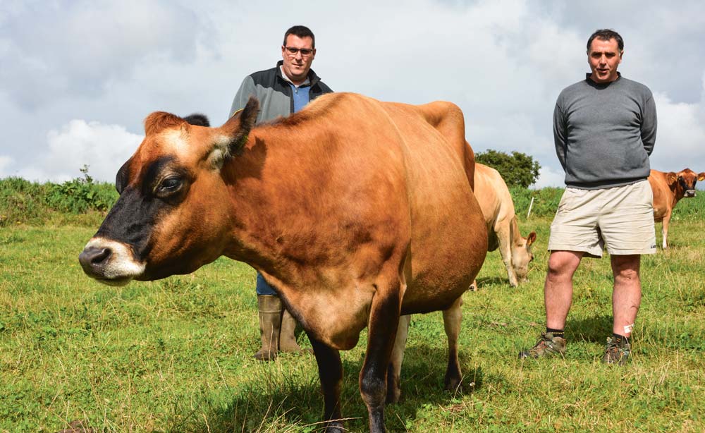  - Illustration Un groupe d’éleveurs pour la Jersiaise en Finistère